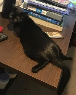 🍑