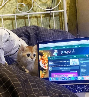 💻