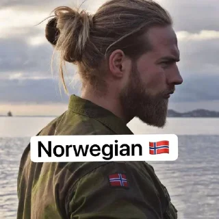 🇳🇴