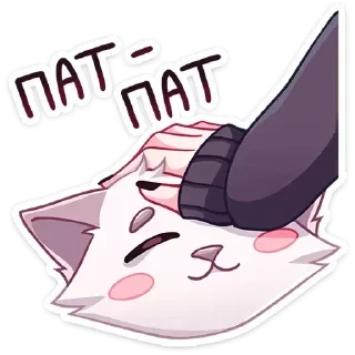 😸