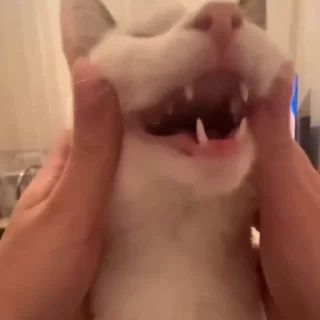 ☺️