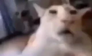 🤯