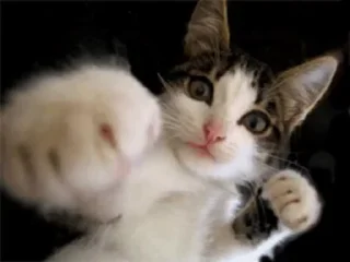 👊