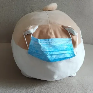 😷