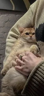 🤗