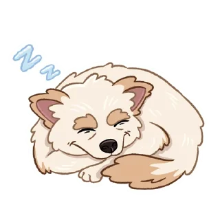 😴