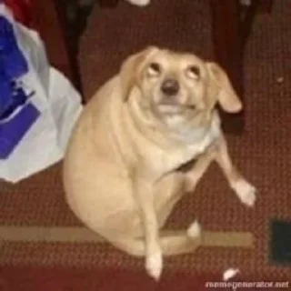 😏
