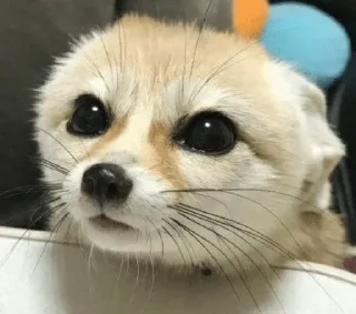 😐