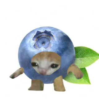 🫐