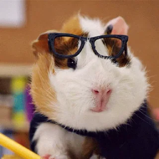 👓