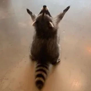 🤗