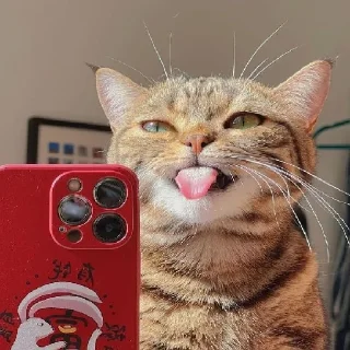 😜
