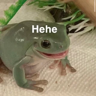 😉