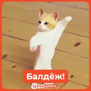 Замурчательные стикеры