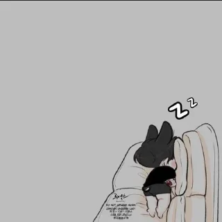 🖤