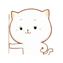 🐱