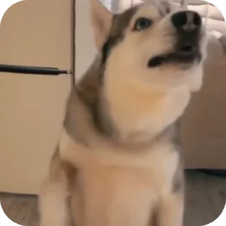 👍