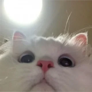 😳
