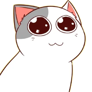 🐈