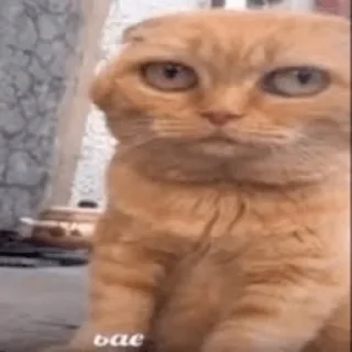 🙄