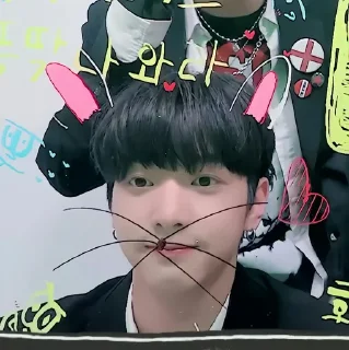 🐰