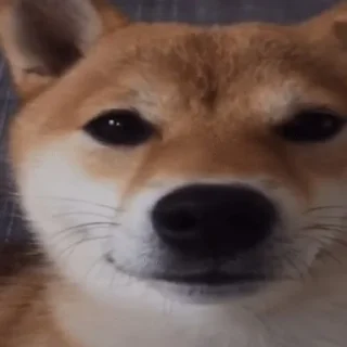 🙂