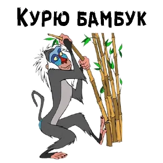 🤪