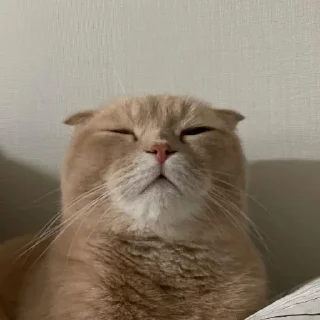 🙁
