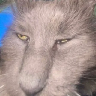 😕