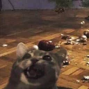 😳