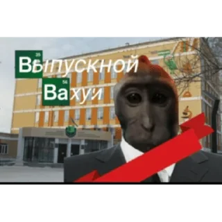 🐵