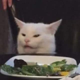 🐈