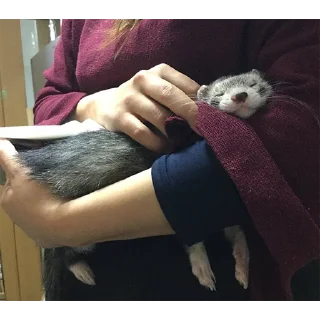 🤲
