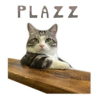 💎