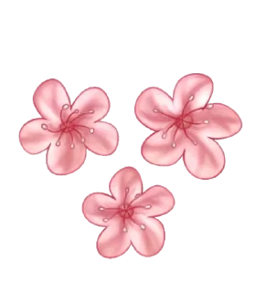 🌸