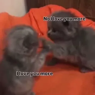 🌟