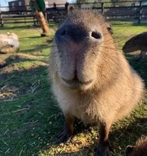 🙂