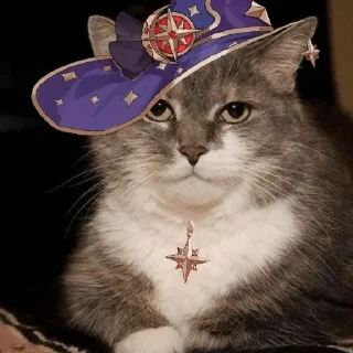😼