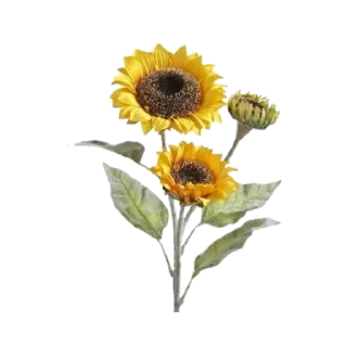 🌻