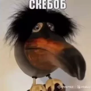 🐻