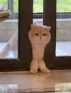 😌