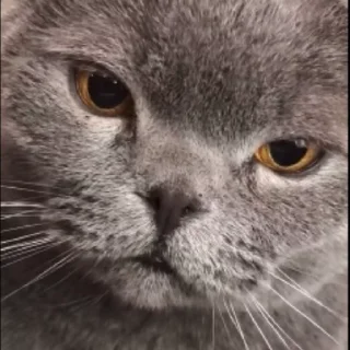 😪