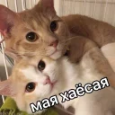 ☺️