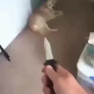 🔪