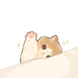 ✋