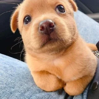 😐