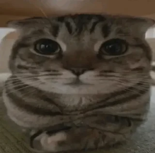 😐
