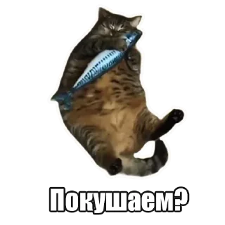 Stickerbomb @stickersb2b