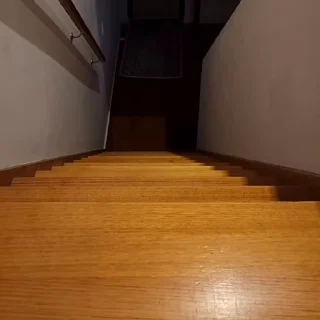 🐈‍⬛️