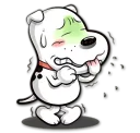 🐶
